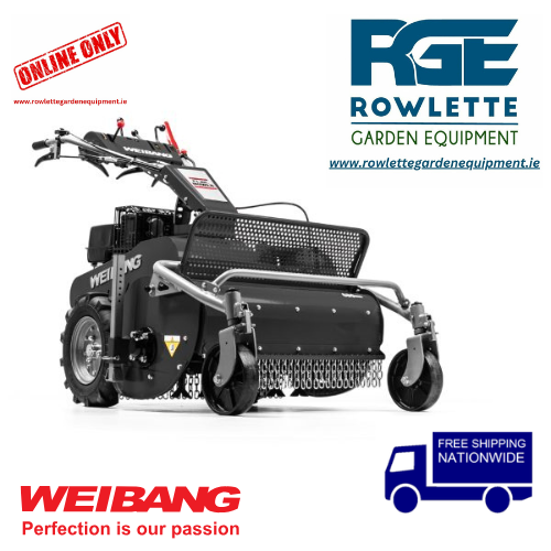 Weibang WBGT6813