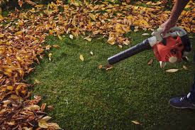 Leaf Blowers & Garden Vacuums