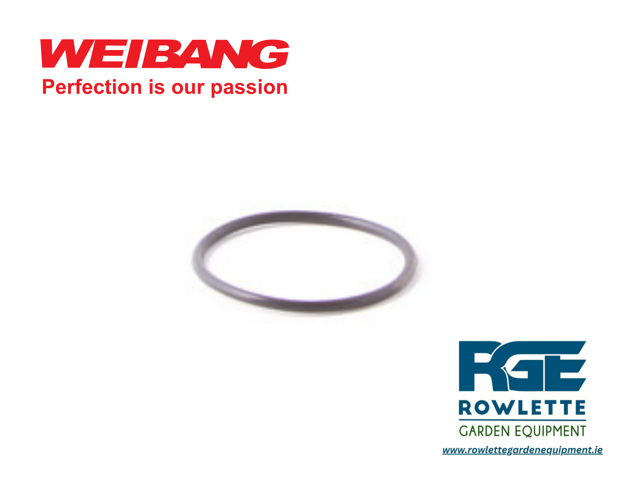 Genuine Weibang O-ring (Drive Gear)