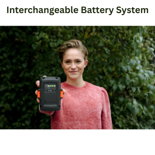 Husqvarna Pole Saw 120 iTK 4 Battery Kit