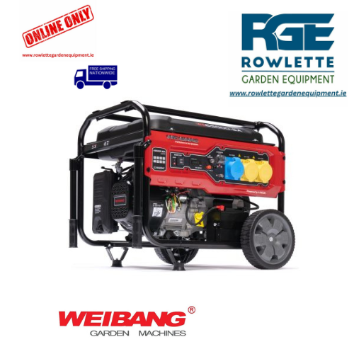 Weibang WB6.5KVA GENERATOR