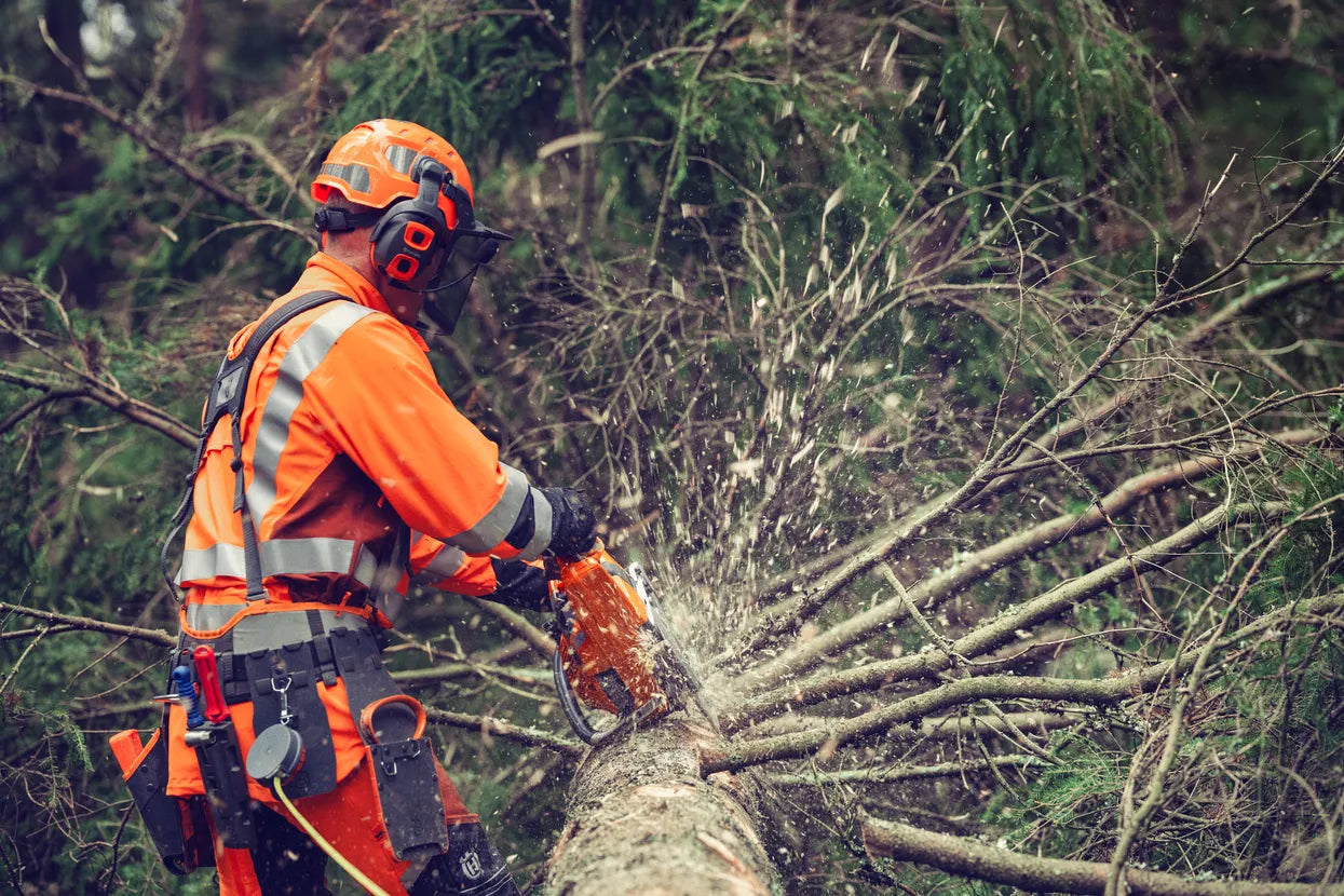 Husqvarna 564 XP® Fuel Inject Chainsaw